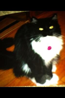 Samantha