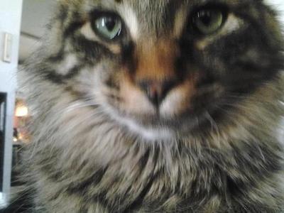 Sammy