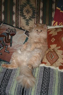 He watches TV