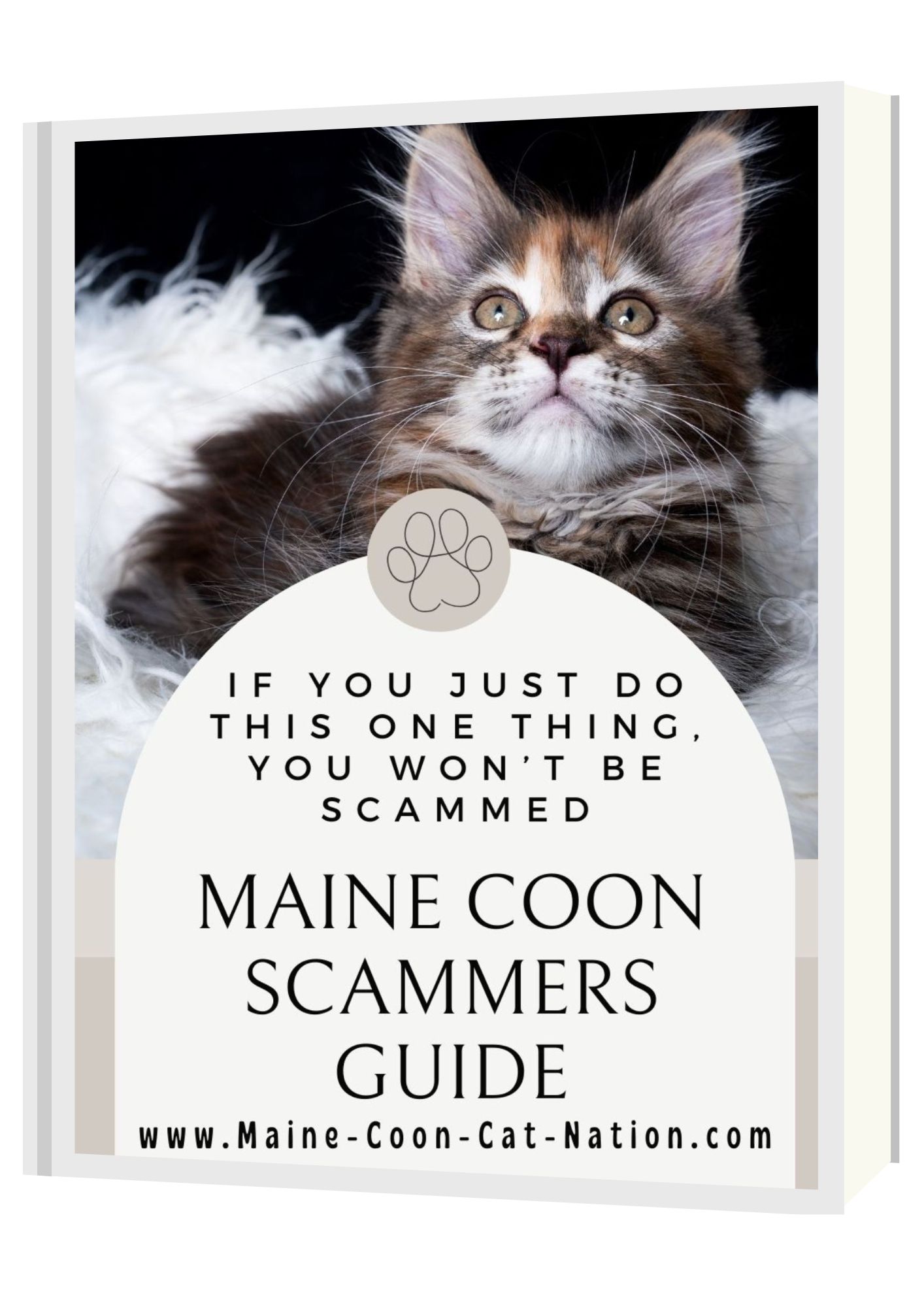 Free Ebook! scammer ebook