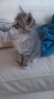 Scratchy