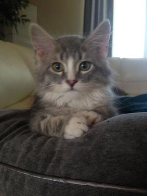 Scratchy