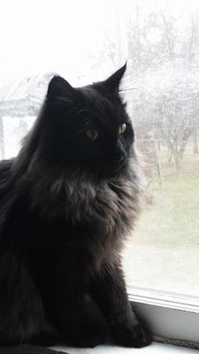 Sebastian