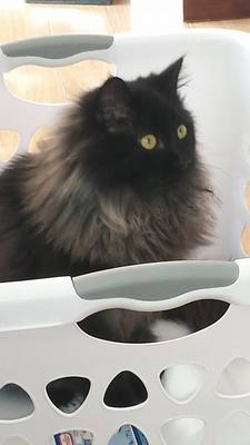 Sebastian