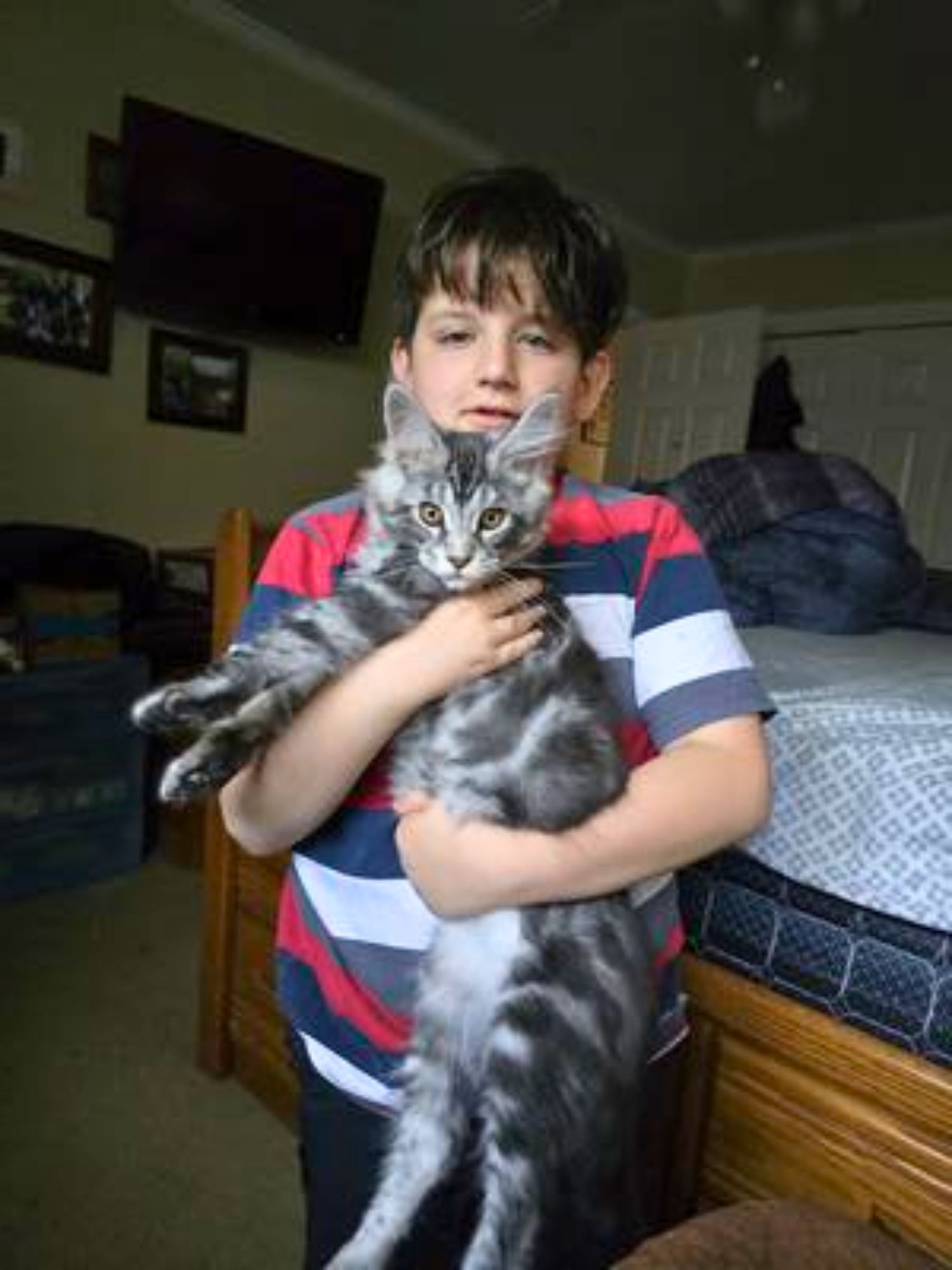 Casper young boy holding his maine coon kitten.