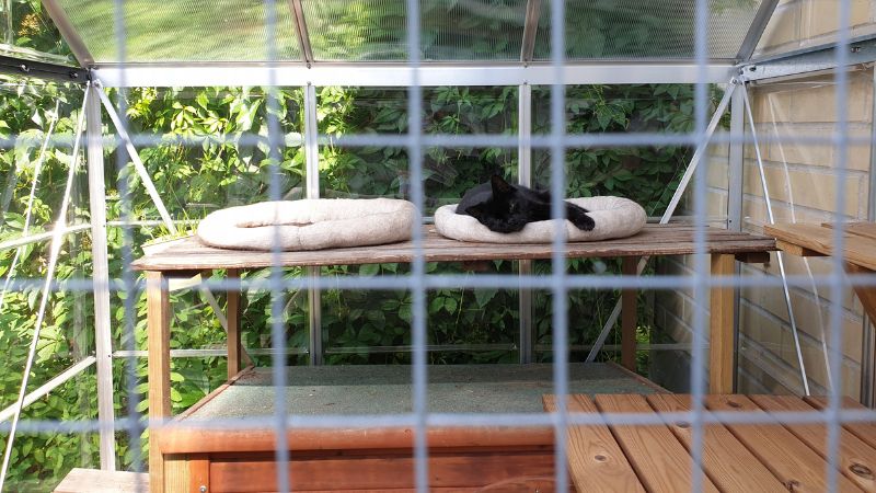 Catio Lounge a cat sleeping outside in a catio