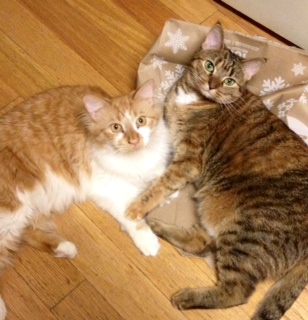 Sloopy and Sweetie