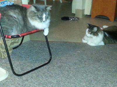 Smokey & The Bandit