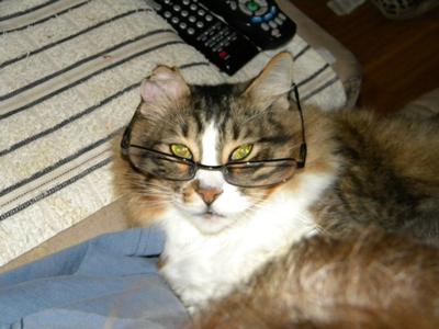 snickers