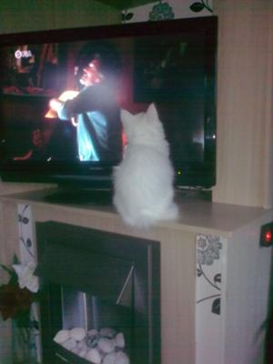 Snowie