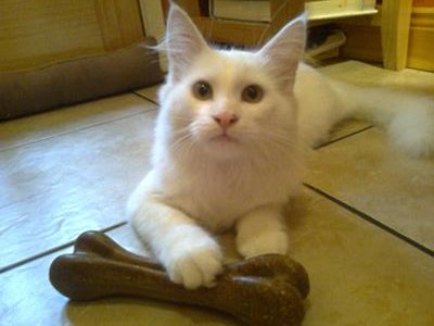 Snowie