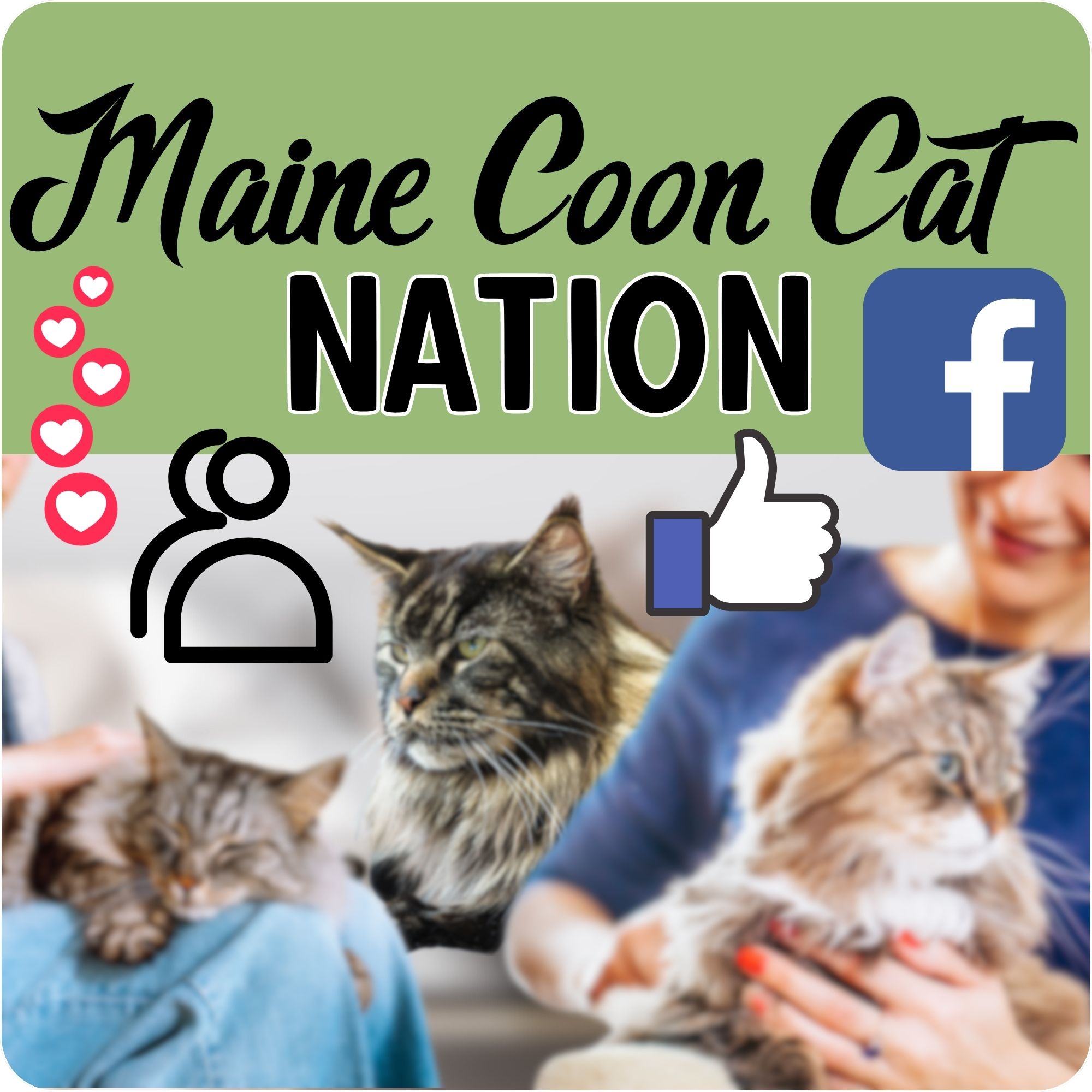 social media membership