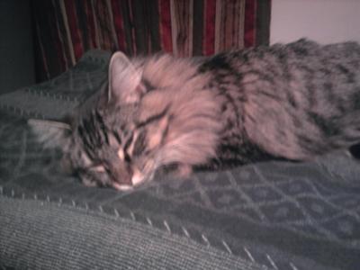 Sophie
