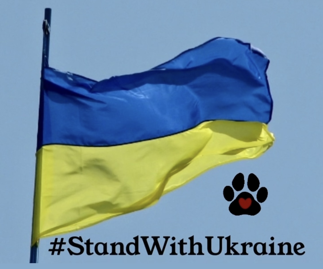 Stand With Ukraine Flag