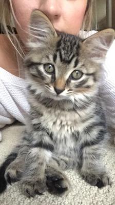 Stanley