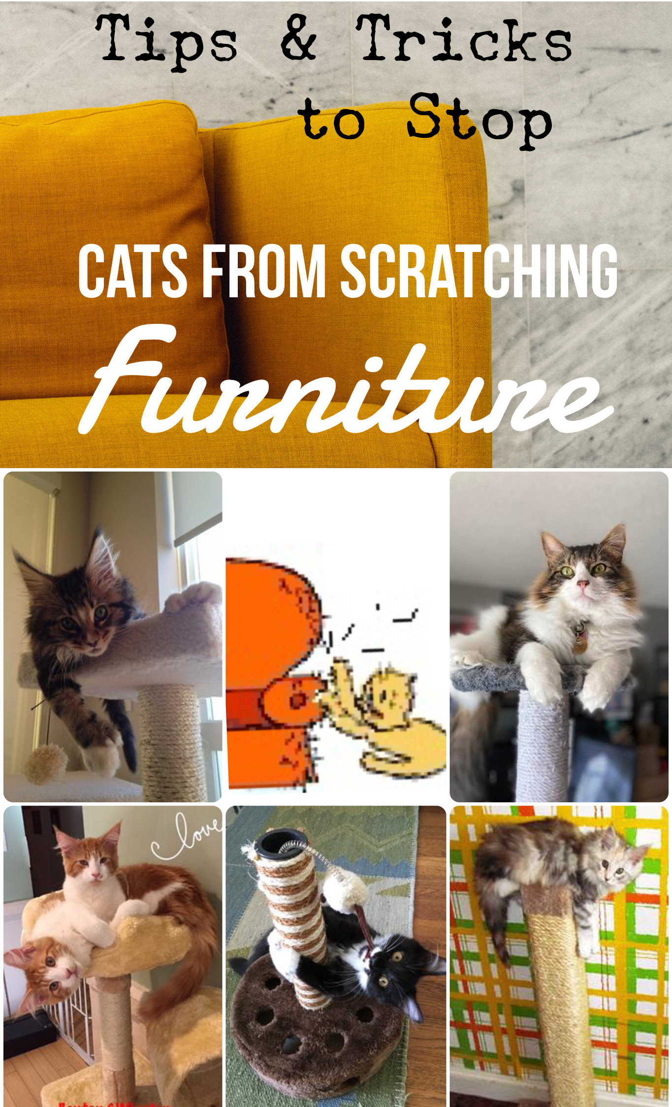 how to stop cats scratching furniture