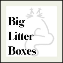 Big Litter Boxes