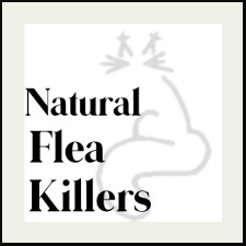 Natural Flea Killer