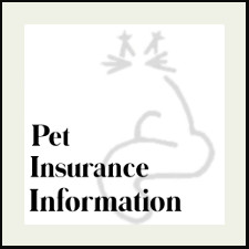 Pet Insurance Information