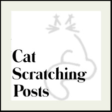Cat Scratching Posts
