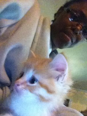 Sylvester