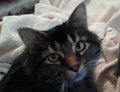 Sylvie