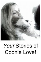 Your Stories of Coonie Love woman and cat cuddling