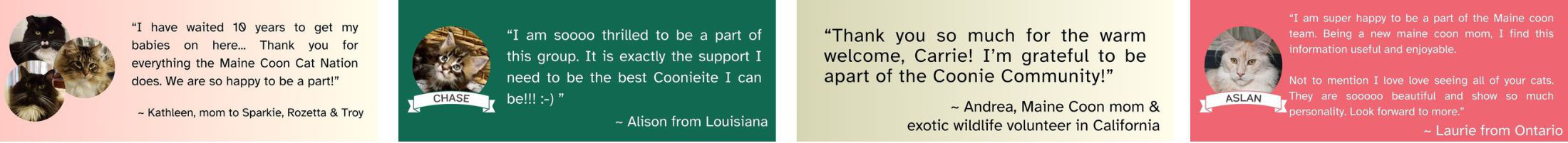 four different testimonials