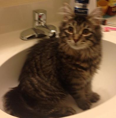 Tigger
