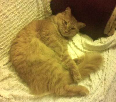 Tigger