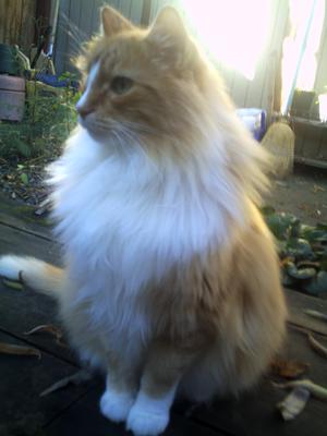 Tiggger