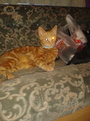 Tigger