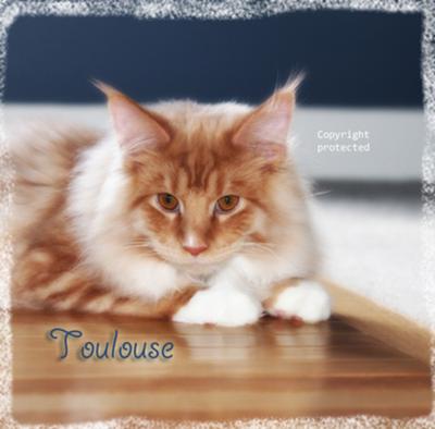 Toulouse