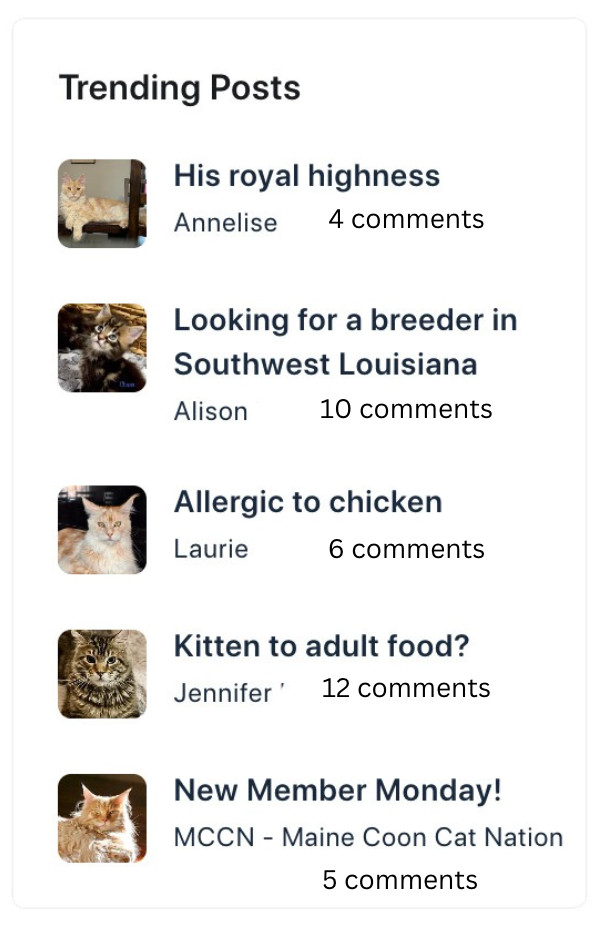 Amazing Community trending posts