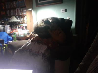 Tuc fluffy cat cuddling with his owner in the dark.