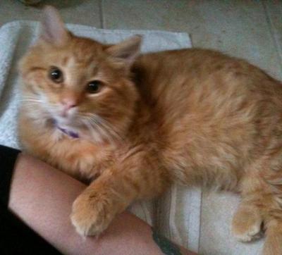 Tiberius