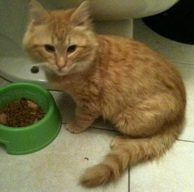 Tiberius