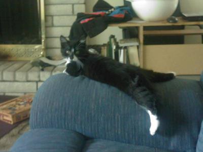 Velcro