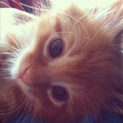 Watson