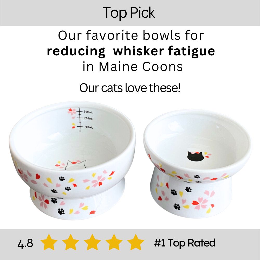 raised ceramic food and water bowls for whisker fatique.