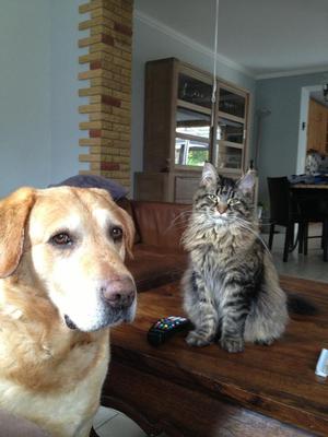Charly and Popeye