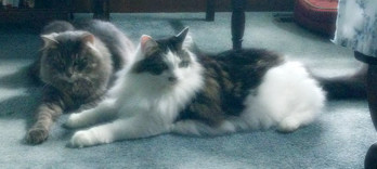 Delilah & Samson