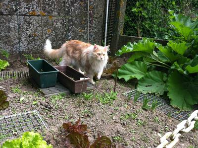 Gaspard