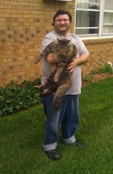 gizmo the maine coon