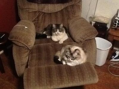 Littleman and Emmie Lou