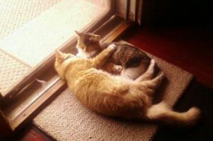 Maurice and Dusty