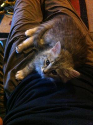 Miss Charlie