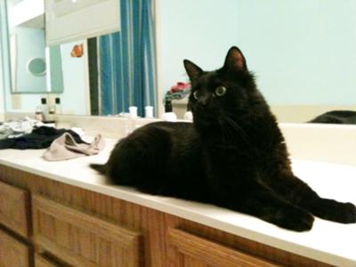 Mogli