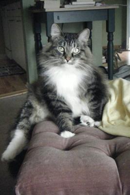Oliver