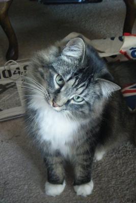 Oliver